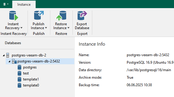 Screenshot eines Menüs zur Wiederherstellung einer Datenbankinstanz. Im Untermenü auf der linken Seite ist "psotgres-veeam-db-2:5432" ausgewählt. Im Lesebereich auf der rechten Seite stehen Informationen zur Instanz.